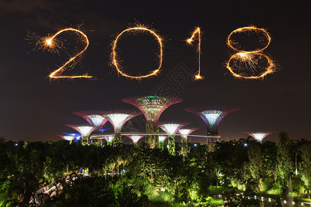 2018年新一的烟火闪与花园快乐图片