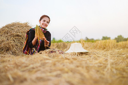 泰国田中拥有稻和草的农民妇女图片