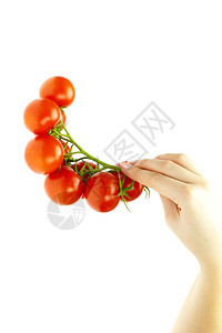 手握多汁西红柿在白色上隔离图片