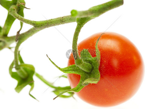 白上孤立的多汁番茄图片