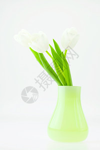 绿色花瓶中的白郁金香图片