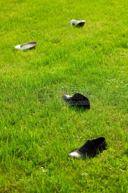 躺在绿草上的新娘和郎图片
