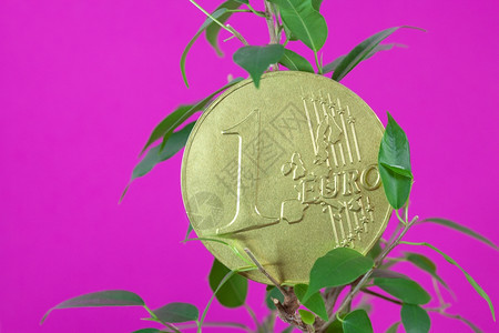 紫色背景的金币和一枚欧元硬图片