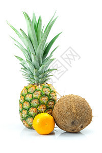 白孤立的菠萝芒兰和椰子图片