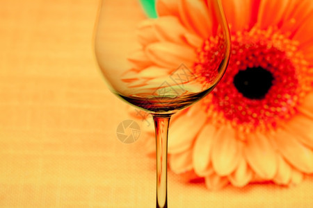 鲜花背景上的概念照亮葡萄酒杯图片