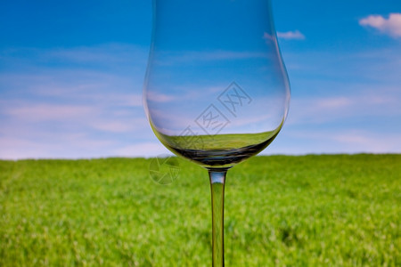 概念上点亮的葡萄酒玻璃天空和绿草的底图片