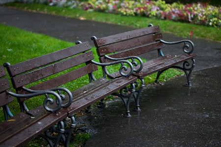 下雨时公园的湿长椅图片
