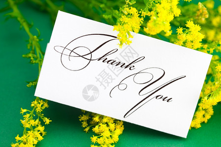 黄菊和卡片签名感谢您绿色背景图片