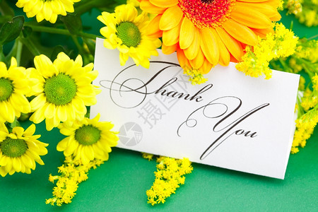 黄色的菊花Gerbera和卡片签名感谢您绿色背景图片
