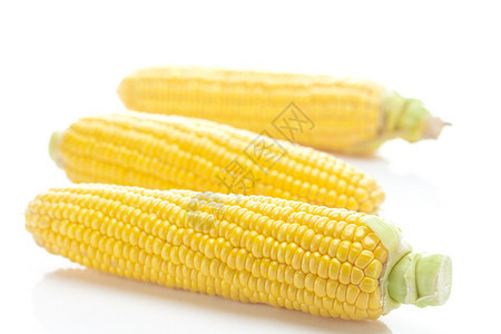 白上隔离的熟黄玉米图片