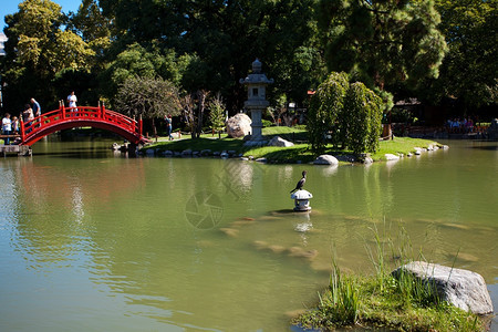 日本花园有池塘桥和鸟图片