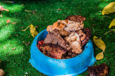 狗食物碗里有各种烤肉蚂蚁和苍蝇也在上面图片