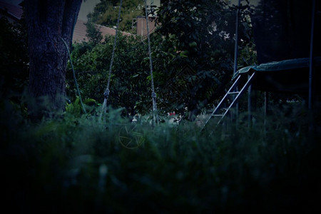被抛弃的摇摆隐藏在公园的草丛后面黑暗而神秘的气氛中图片