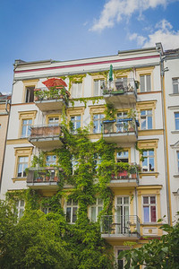 被绿色长春藤植物攀爬的公寓楼图片