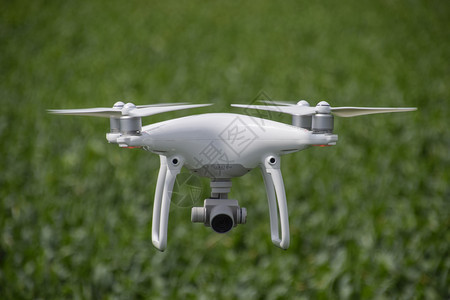 无人机在小麦田上空飞行背景图片