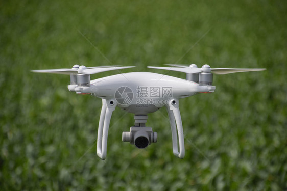无人机在小麦田上空飞行图片