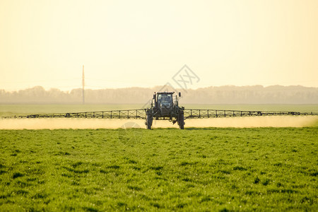 高轮式拖拉机正在对年轻的小麦施肥使用细散的喷洒化学品日落背景的拖拉机图片