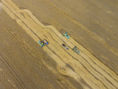 俄罗斯克拉诺达尔2017年月日收获小麦者农业机械在田间收获谷物农业机械在运行小麦收获者农业机械在田间收获谷物图片