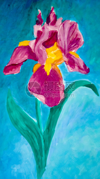彩绘的鸢尾花紫色的鸢尾花彩绘的鸢尾花紫色的鸢尾花高清图片下载 正版图片 摄图网 彩绘的鸢尾花紫色的鸢尾花彩绘的鸢尾花紫色的鸢尾花高清图片下载 正版图片 摄图网