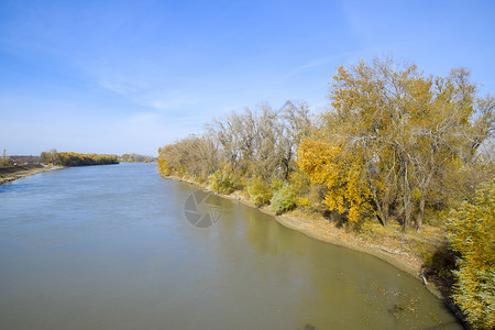 秋色风景河流和桥梁类型黄叶树吼叫图片