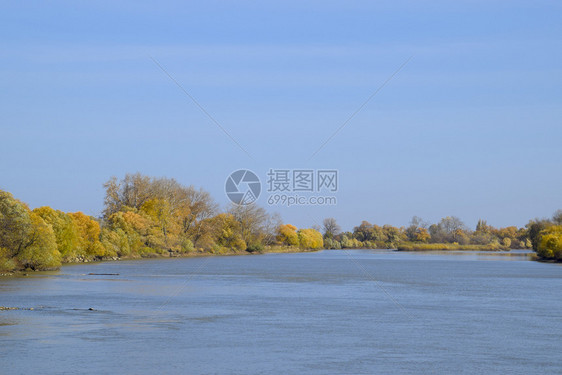 秋天的风景有秋树的河岸岸边的杨树秋天的风景有秋树的河岸树上的杨树图片