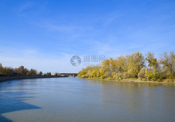 秋天的风景有秋树的河岸岸边的杨树秋天的风景有秋树的河岸树上的杨树图片