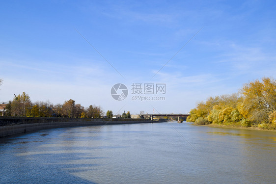 秋天的风景有秋树的河岸岸边的杨树秋天的风景有秋树的河岸树上的杨树图片