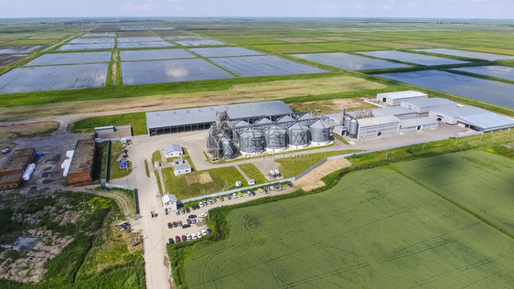 谷物干燥和储存厂田间水稻图片