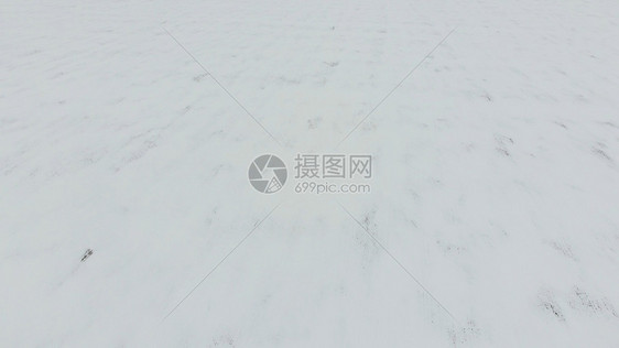 冬季耕种田的顶部视图雪中的小麦田冬天的顶部视图图片