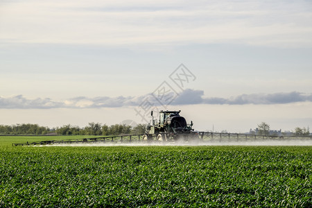 高轮式拖拉机正在对年轻的小麦施肥使用细散喷洒的化学品带喷洒装置的拖拉机用于细散撒化肥日落背景的拖拉机使用精散喷洒的化学品图片