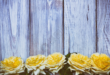 白木背景的黄玫瑰花团古老的代图片
