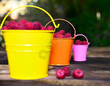 桌上铁桶里成熟的红莓有选择焦点图片