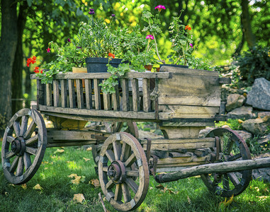 长着圆轮的老木车站在草坪中间有花卉的锅里背景图片
