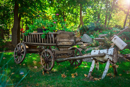 绿色草坪和树木景观设计项目夏日用车轮和花盆的旧木车图片