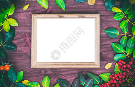 棕色背景的空木边框带有一根和叶子的树枝图片