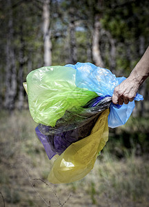 在阳光明媚的夏日松树林前人类手拿着许多色空透明袋用于收集自然垃圾人类手拿着许多色空透明袋g图片