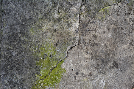 灰色水泥碎片有裂缝和绿苔紧闭图片