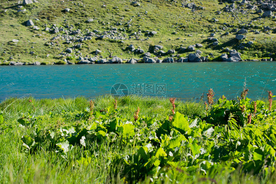 土耳其Artvin省绿色自然背景的高原湖图片