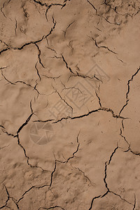 棕色干燥碎裂泥土作为背景纹理图片