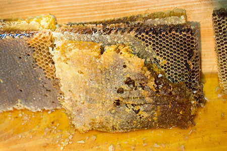 密封梳子架上的甜新鲜蜂蜜图片