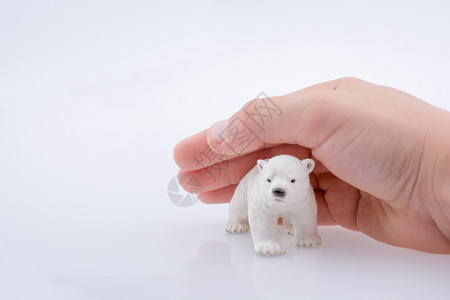 握着北极熊手模型图片