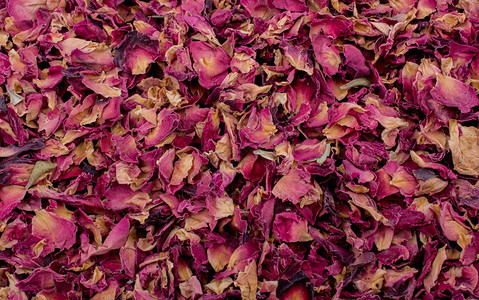 干玫瑰花瓣背景干玫瑰花瓣作为草药茶的背景图片