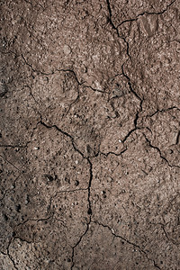 棕色干燥的泥土块作为背景纹理图片