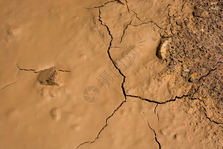 棕色干燥的泥土块作为背景纹理图片