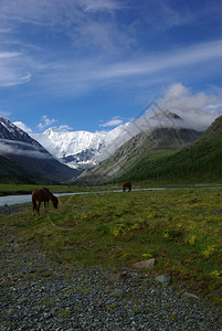 山地峰峡谷坡上的石块高地山坡上的石块图片