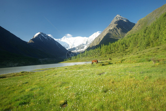 山地峰峡谷坡上的石块高地山坡上的石块图片