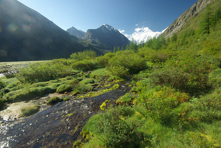 山中的河峡谷附近石头和岩河流附近的头和岩美丽的山地区河美丽地图片