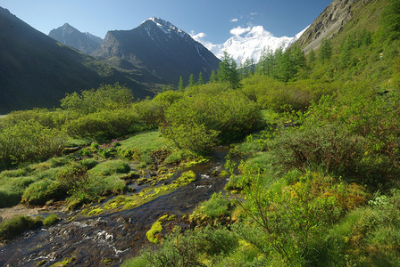 山中的河峡谷附近石头和岩河流附近的头和岩美丽的山地区河美丽地图片