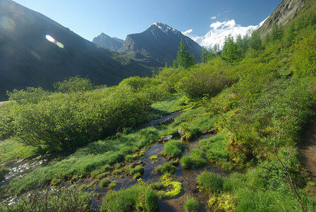 山中的河峡谷附近石头和岩河流附近的头和岩美丽的山地区河美丽地图片