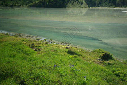 山中的河峡谷附近石头和岩河流附近的头和岩美丽的山地区河美丽地图片